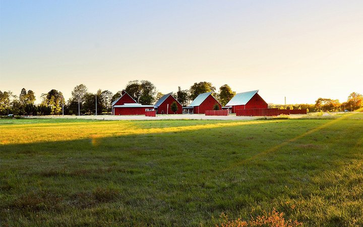 Solnedgång över åker och fyra röda småhus.
