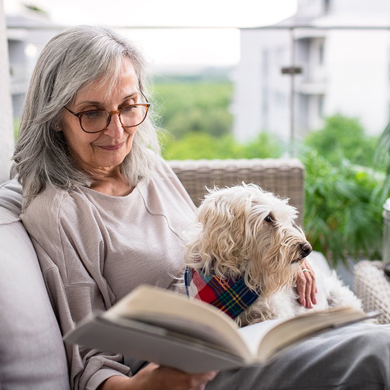 Hyllade och kultförklarade – här är 11 amerikanska klassiker