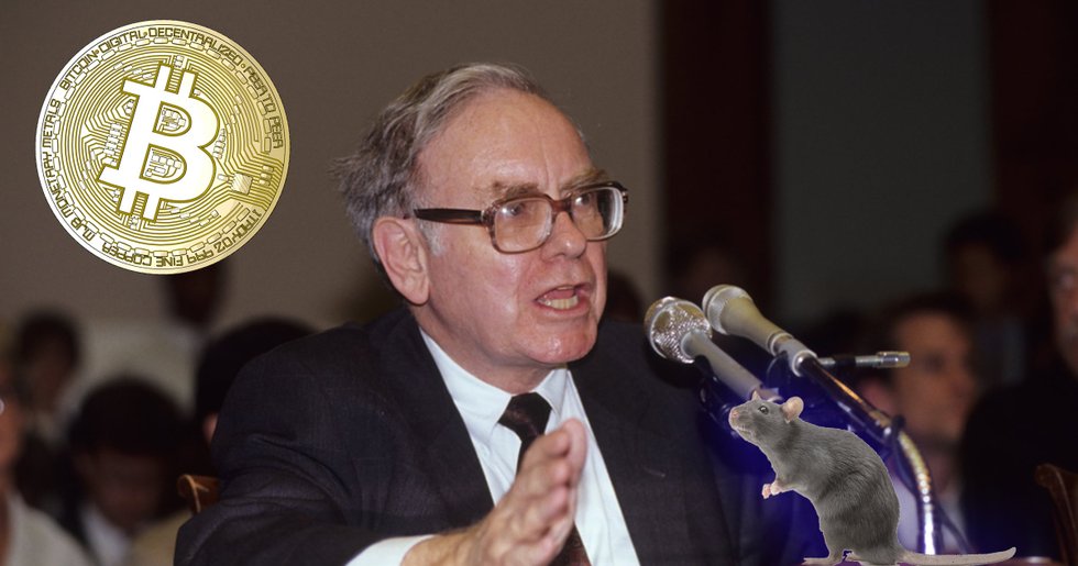 Crypto personality: Warren Buffet's right, bitcoin is rat poison and he is the rat