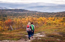Vandring och cykelturism en succé i Åre – så satsar hotellen