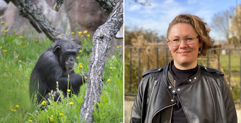 “Att blicka fram mot sommaren och komma in i rutiner igen är viktigt för oss