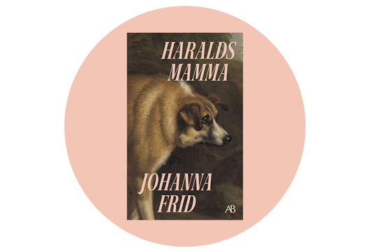 Haralds mamma &ndash; bokcirkelfr&aring;gor