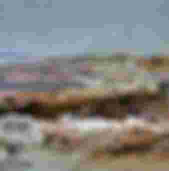 A print of Gaza around 1880.