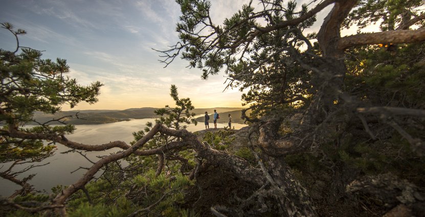 Foto: Höga Kusten Destinationsutveckling 