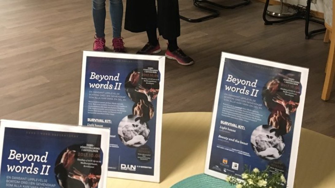 DINs-Ungdanskompani-2017_21