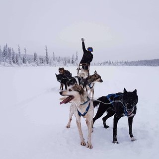 Arctic Dogsled Adventure three days tour