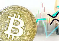 Daily crypto: Markets rise slightly – xrp increases the most of the biggest currencies