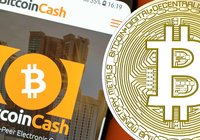 Stable markets - bitcoin cash up 2.5 percent