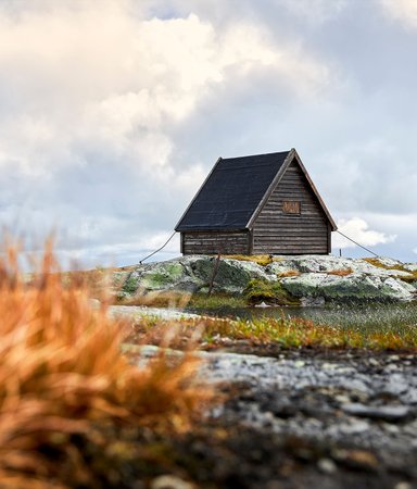 Djupa skogar och iskalla fjäll- böcker som utspelar sig i Jämtland