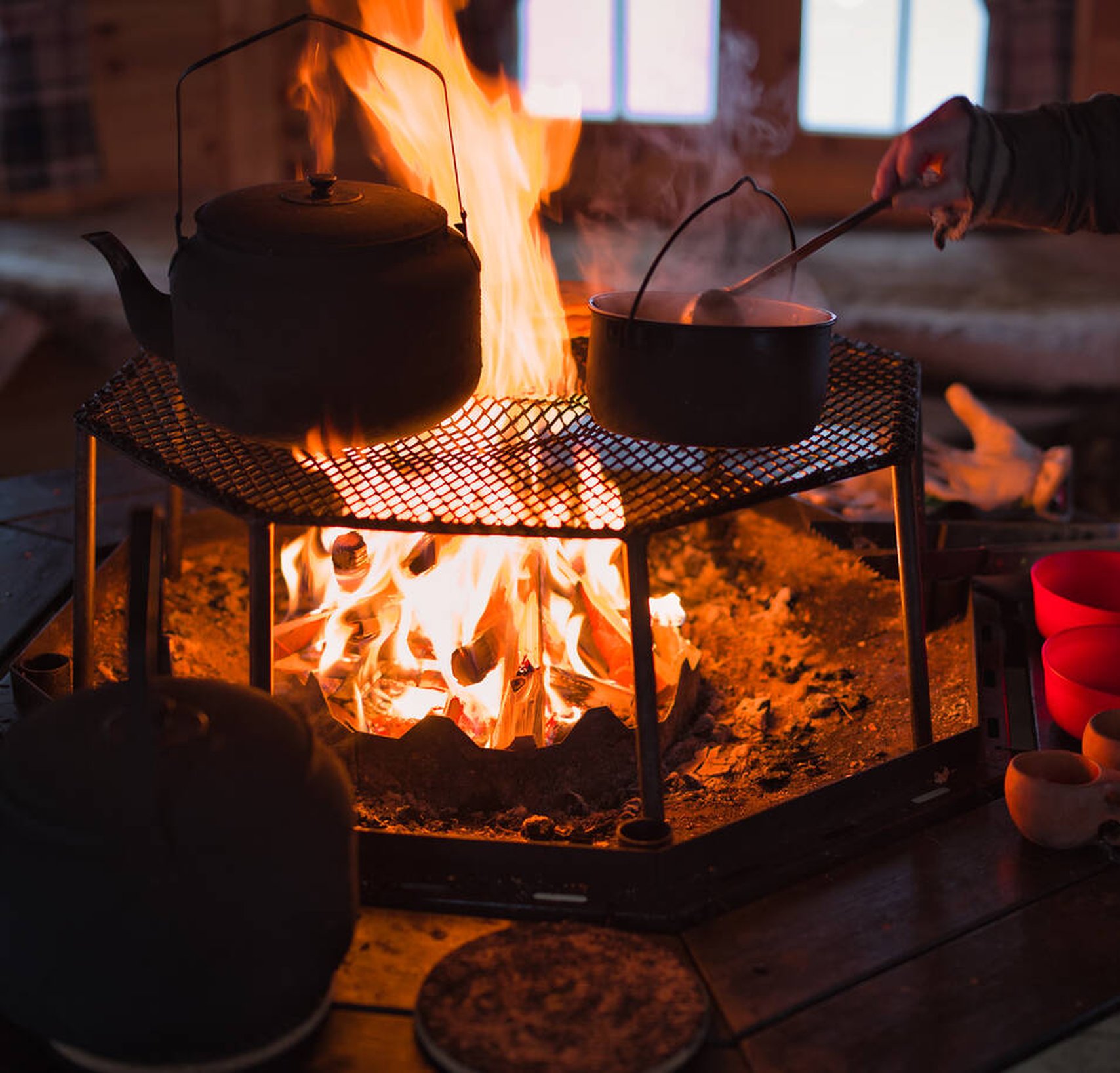 Skotertur med Arctic dogsled adventure