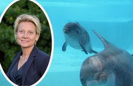 Kolmårdens vd: ”Det går bra nu”