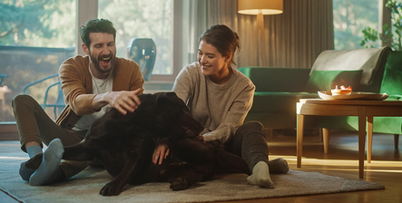 Mysafety forsikringer. Par sitter trygt hjemme og leker med hunden.