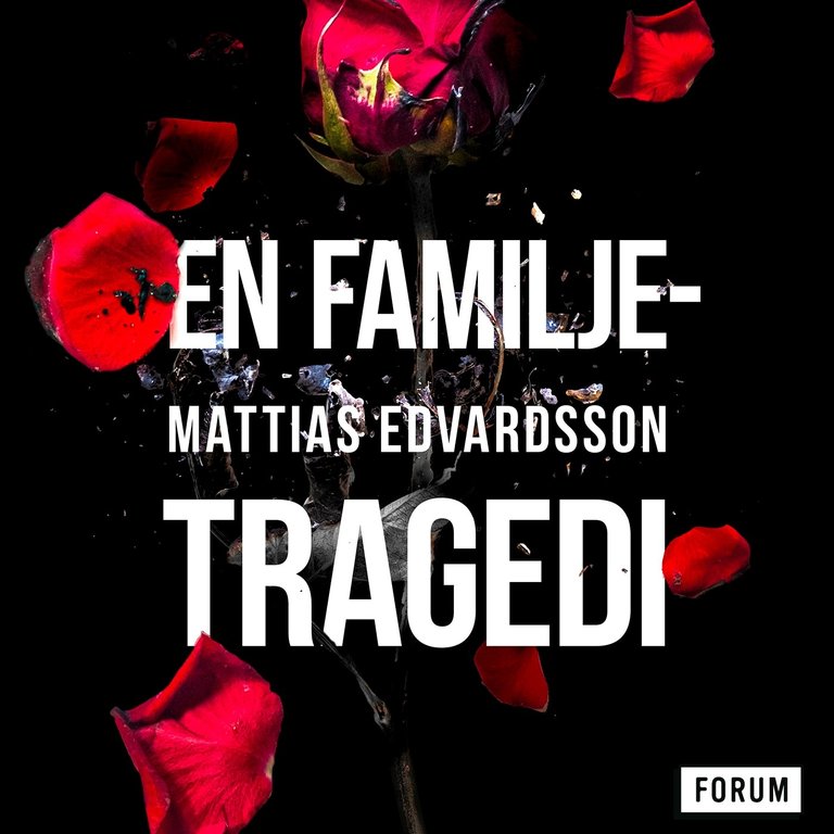 9 ljudböcker inlästa av Magnus Roosmann