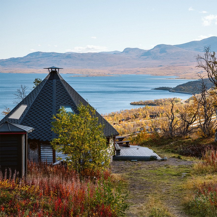 Rakkask&aring;tan en solig h&ouml;stdag