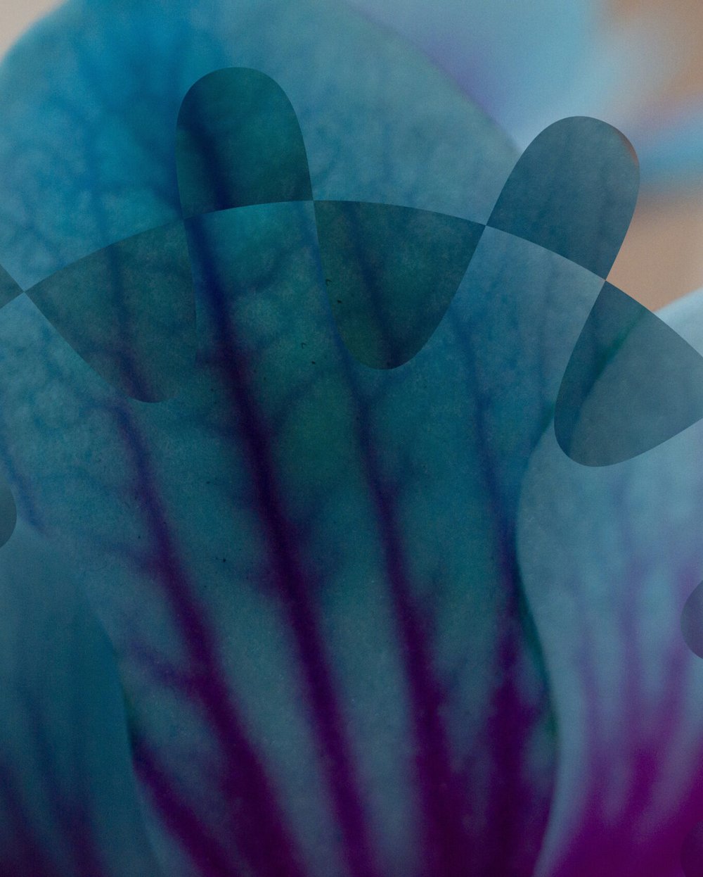 Flower Signs Battery Flexibility Agreement with Global Energy Group