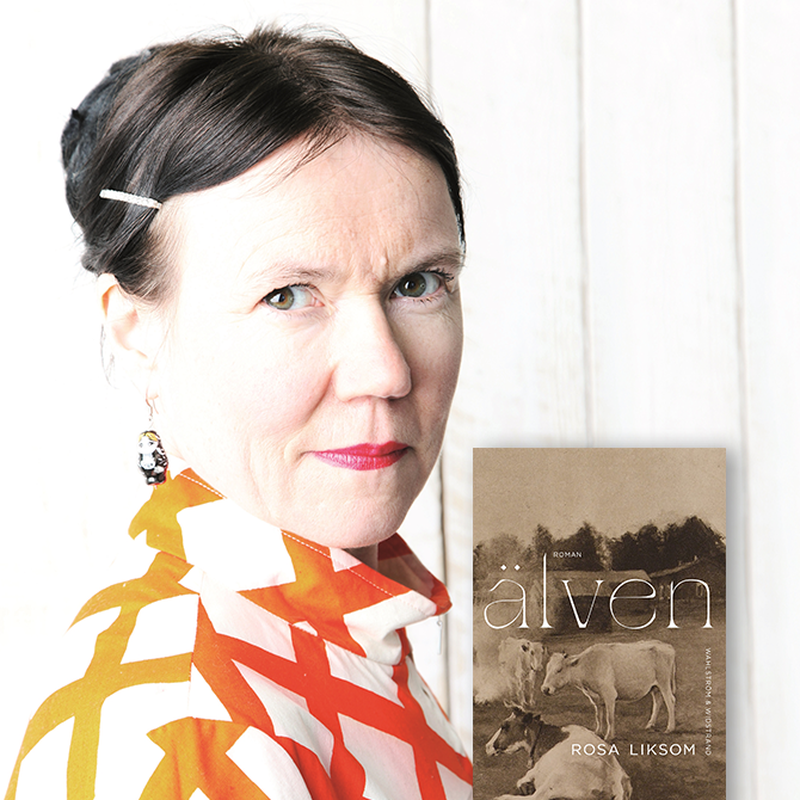 Rosa Liksom: ”Älven är en roman som andas lugnt”