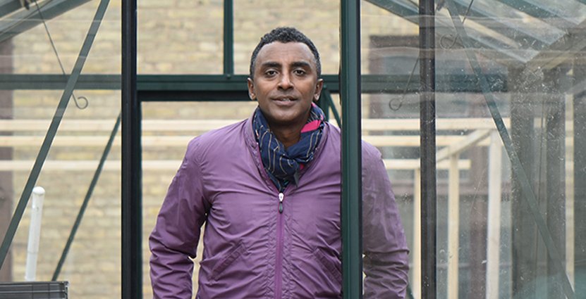 Närodlat på ny nivå. Marcus Samuelssons nya växthus ovanpå Clarion Hotel Post är en del i hans Urban Garden-satsning. 