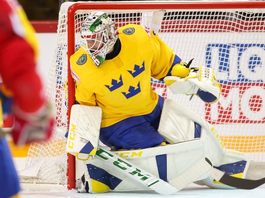 Höft- och ljumskproblem bland elithockeyspelare. Ett samarbete mellan Umeå Universitet och Svenska Ishockeyförbundet