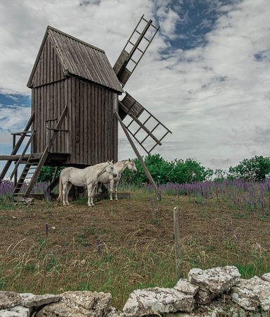 Solens och vindarnas ö - 3 böcker som utspelar sig på Öland