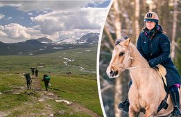 Turismföretagen om momsen: ”Det känns fantastiskt”