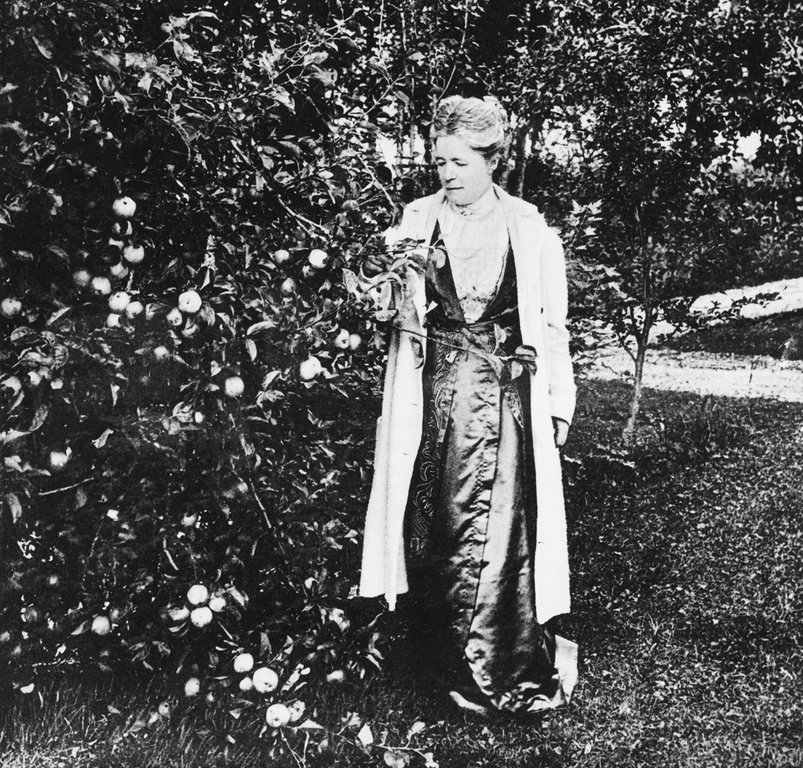 Bild ur boken. Selma Lagerlöf vid ett äppelträd på Mårbacka. Albert Bonniers Förlags arkiv.