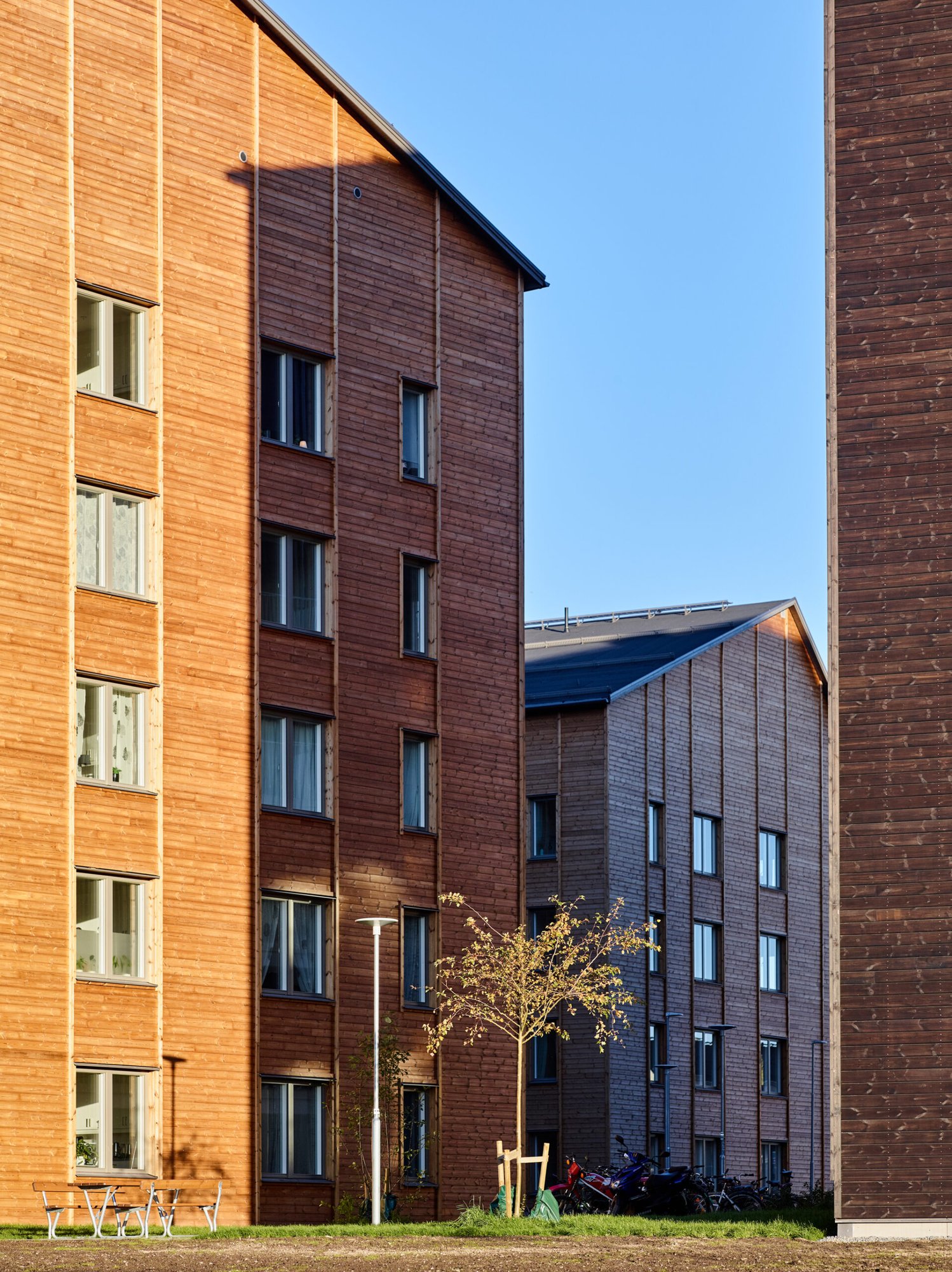 Kv Dubbelkrut, bild 4 av 7