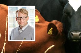 Ursprungsmärkning kan stoppas