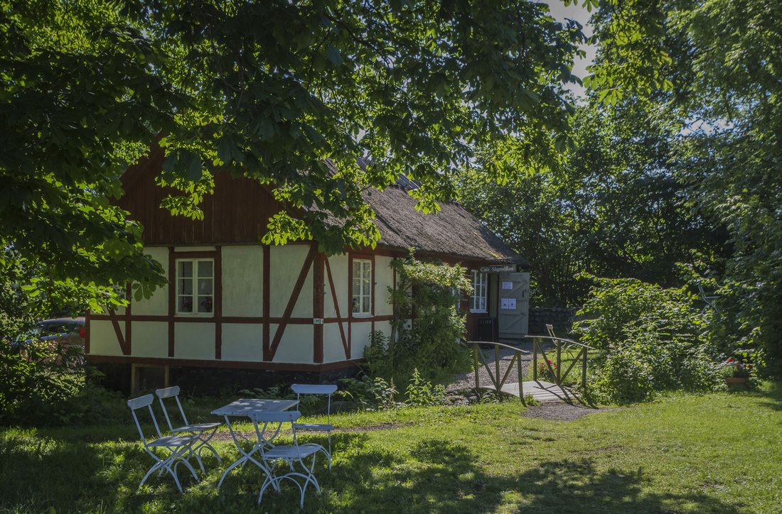 Succéförfattarens guide till Österlen