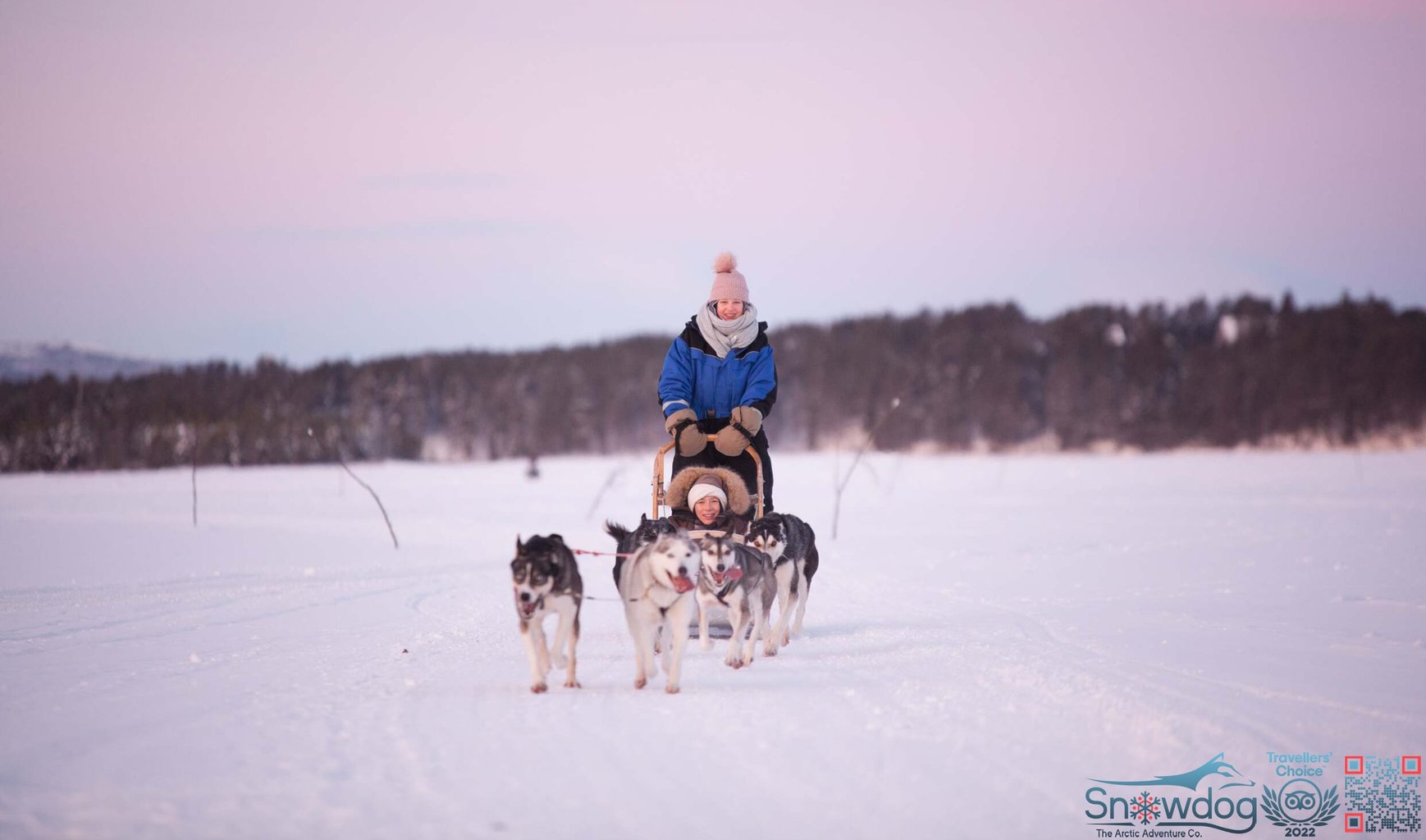 Snowdog arctic afternoon eco experience