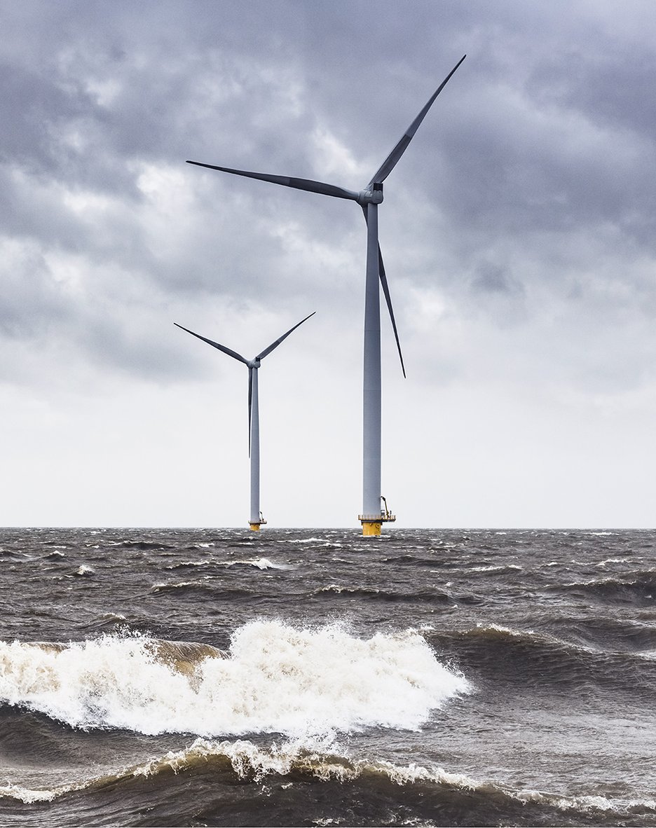 Wind power is hitting rough seas - what are the solutions? Flower