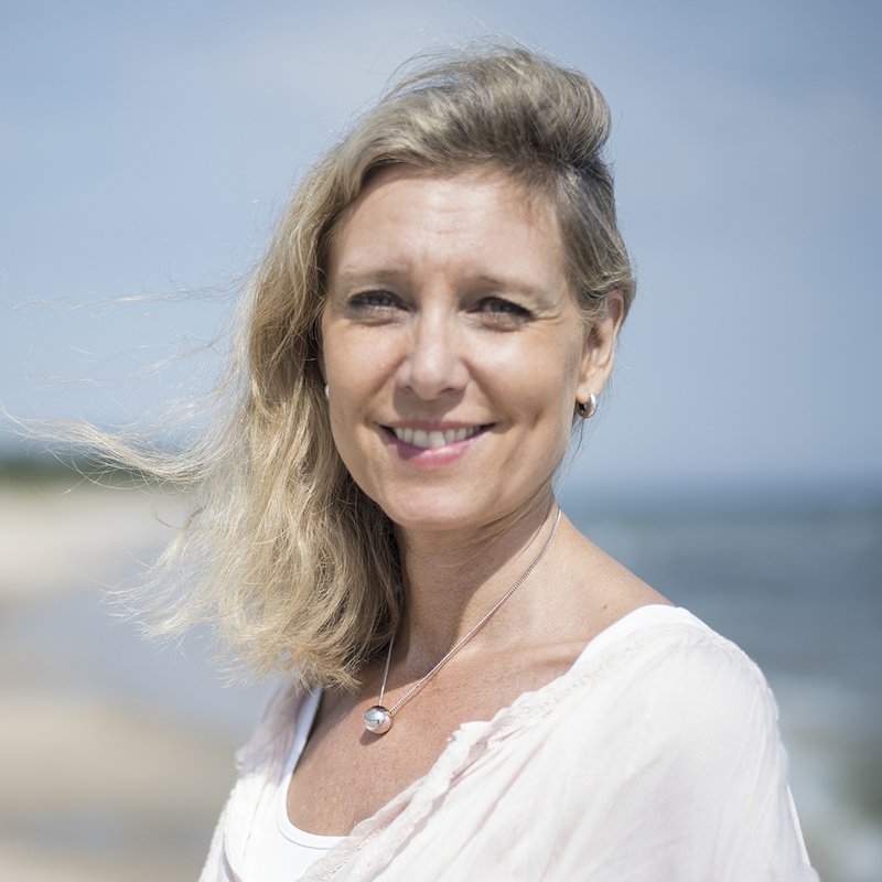 Succéförfattarens guide till Österlen