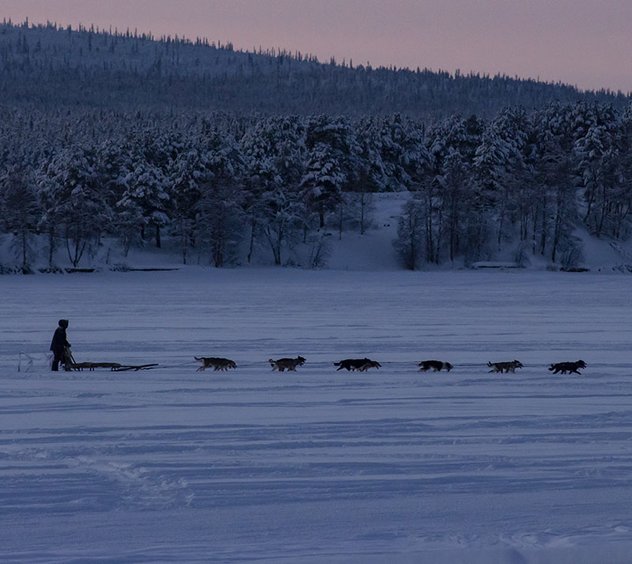 Hundspann Jukkasjärvi