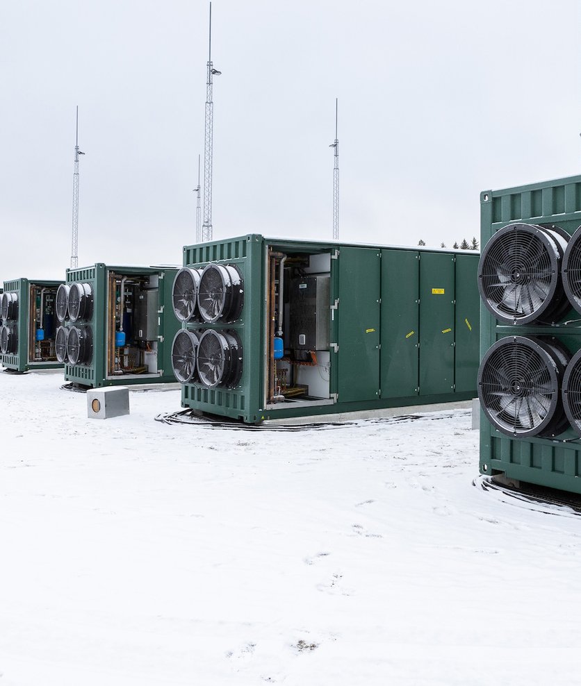 Flower, flexibility, dot com boom