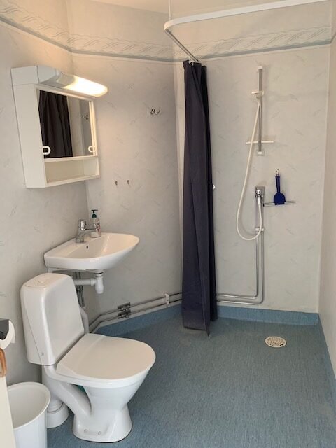 Bathroom with wc, sink and shower.