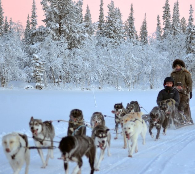 Snowdog Sunrise zen husky tour