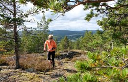 O-ringen en ekonomisk succé för Höga Kusten