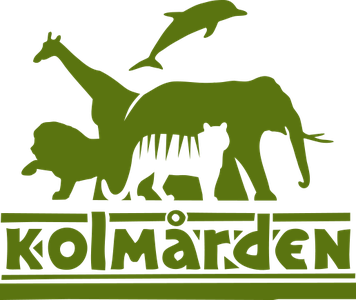 Kreativ Köksmästare