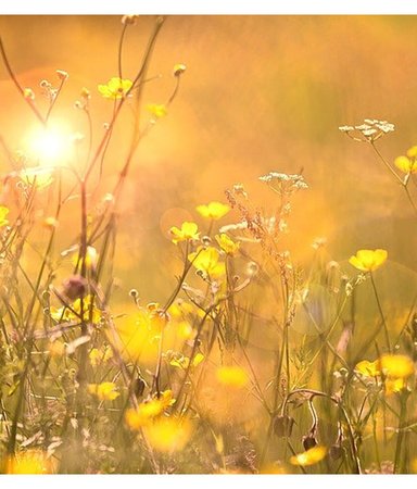 Böckerna som tar dig till sommaren