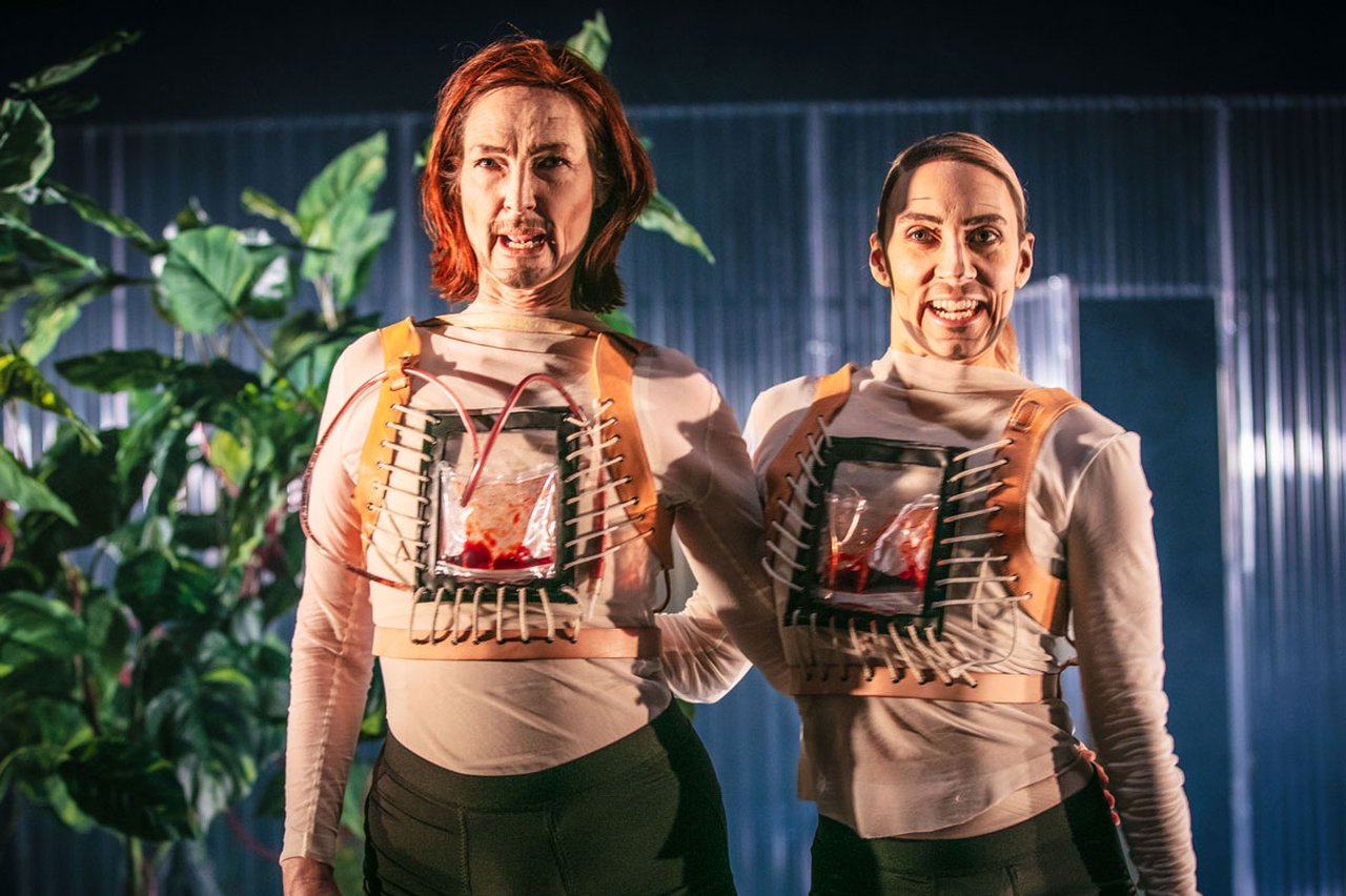 Transplantation Engelkes Södergård