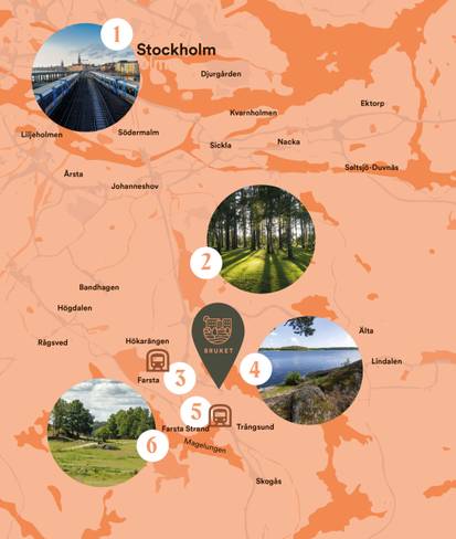 Mitt i naturen, lagom nära stadens puls