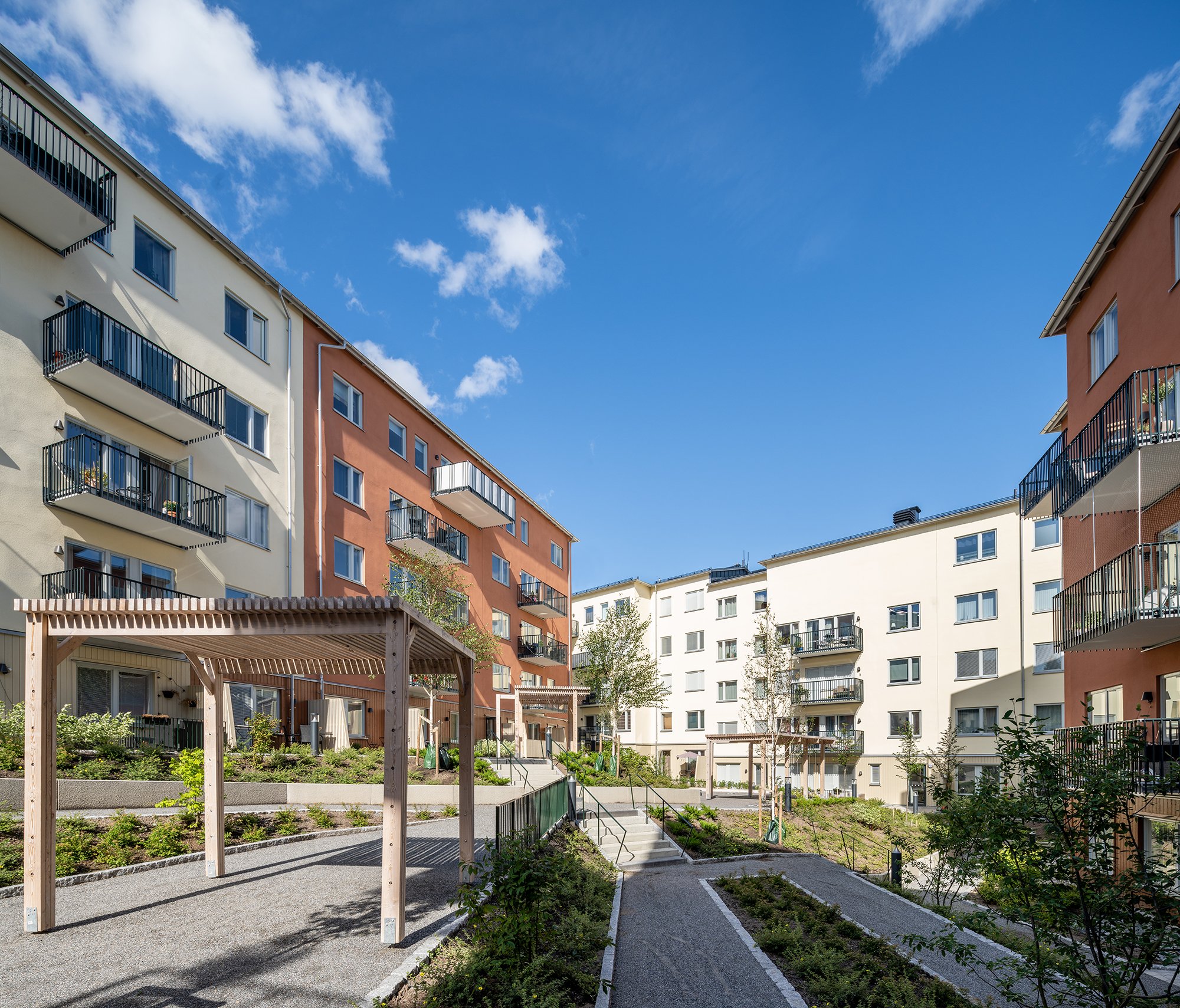 Skogsstjärnan, bild 1 av 7