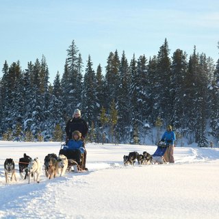 Husky Tours Lapland