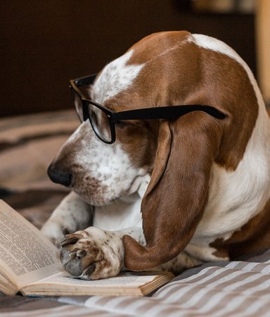 Redaktionens boktips: Det här läser och lyssnar vi på i april 2020