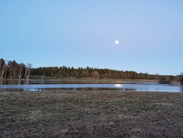 510177_28b69142d71e4ba9903c6949542c7043_mv2