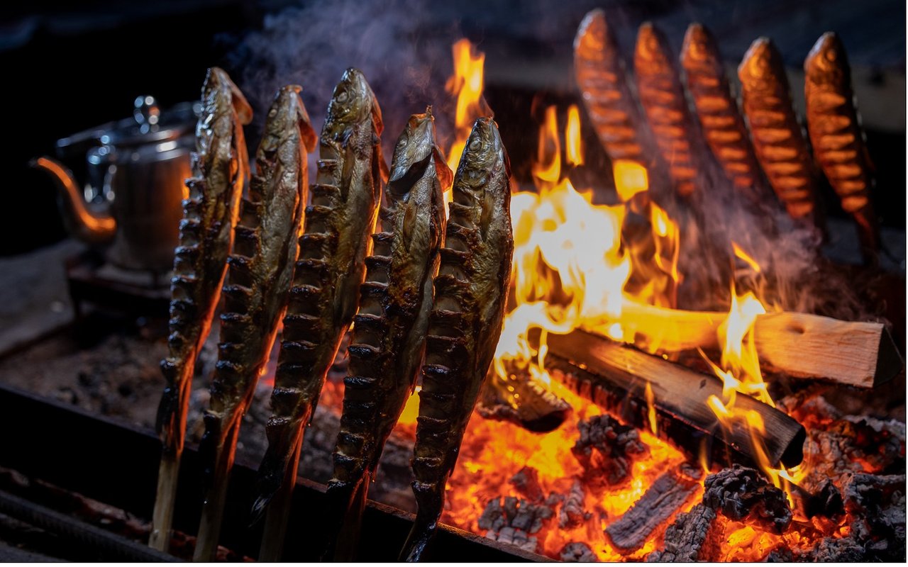 Grillid Whitefish in Kukkolaforsen