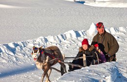 Internationellt sug efter samepark i Funäsdalen