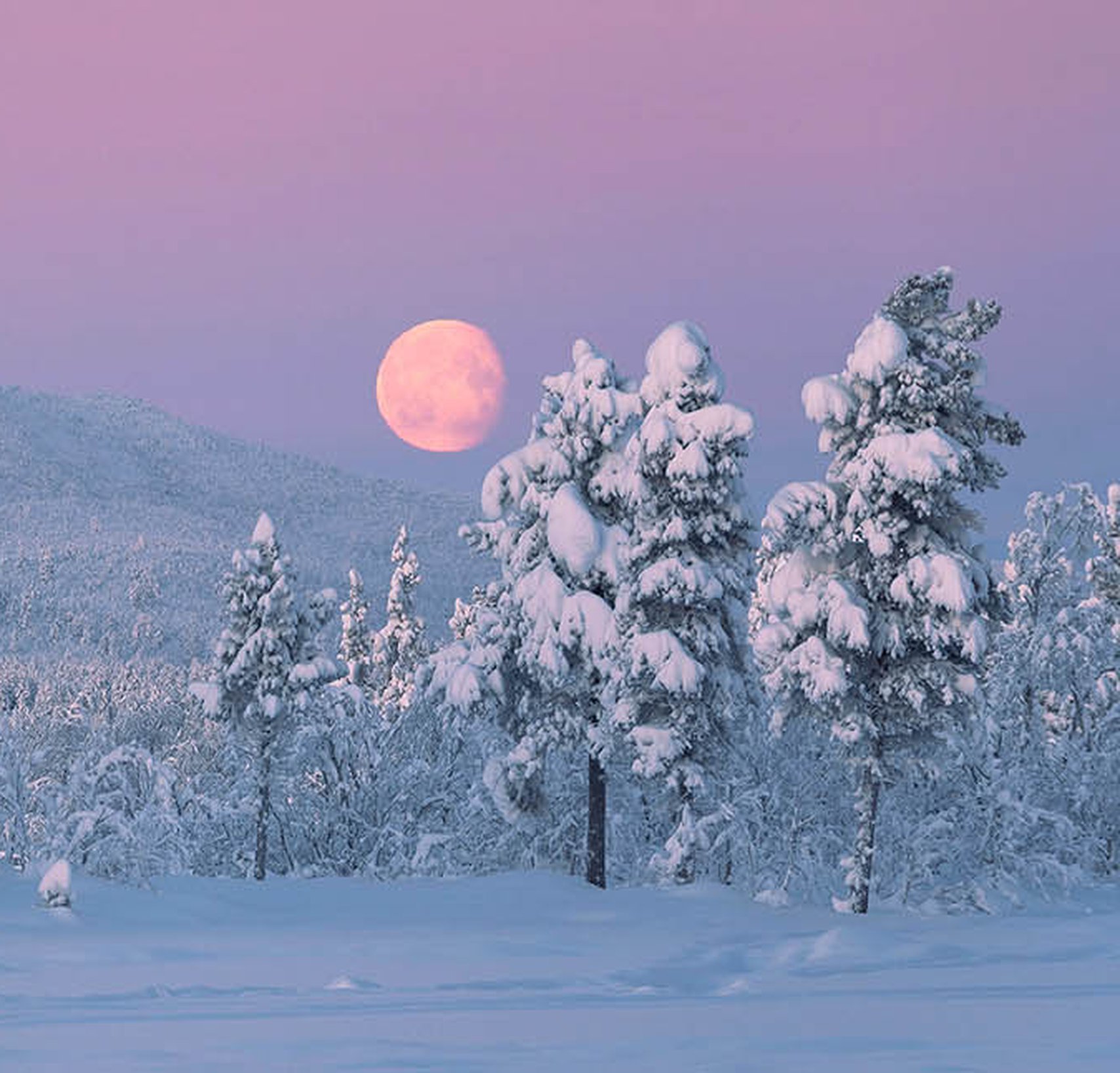 Samiwellness med Scandinavian Photoadventures