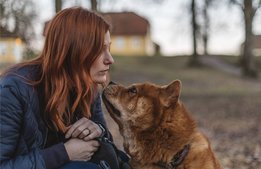 Lyckad satsning: Nytt tema lockar hundägare till herrgård