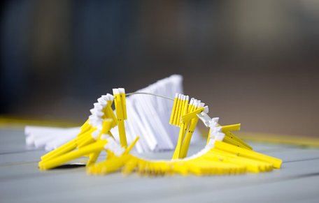 Gula lotter i en ring ligger på bord.