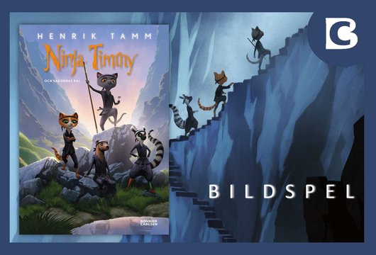 Bildspel: Ninja Timmy och sagornas dal av Henrik Tamm